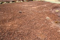 Ancienne surface d'exploitation de tourbe horticole