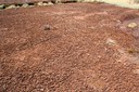 Ancienne surface d'exploitation de tourbe horticole