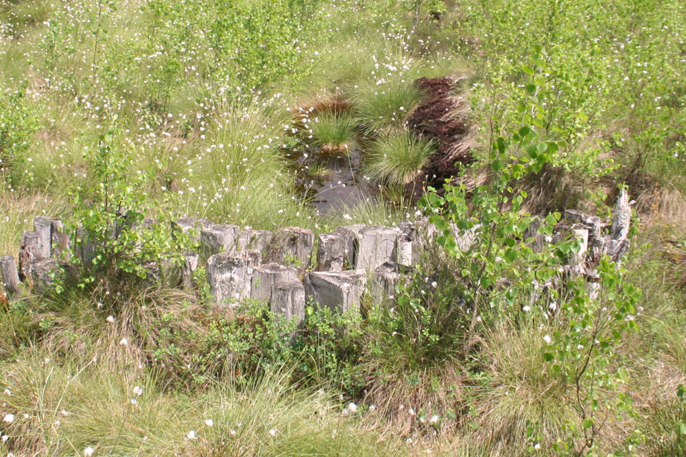 Barrage sur un canal de drainage