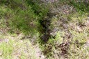 Fossé de drainage