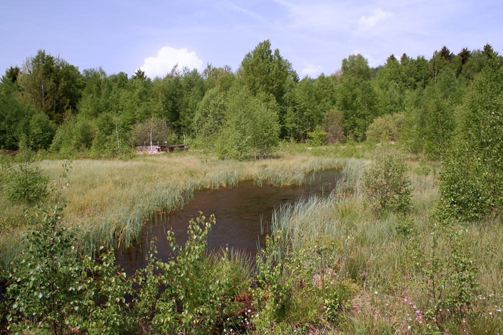 Le marais rouge