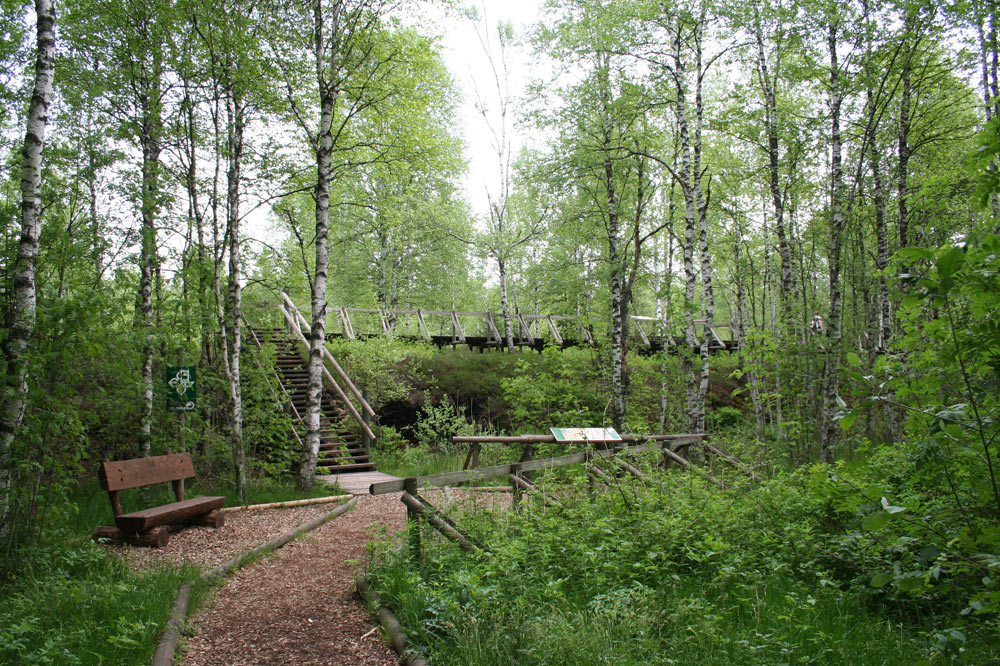 Sentier didactique de la tourbière