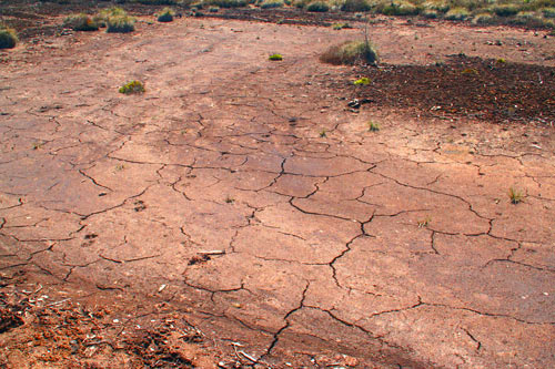 Une tourbière au goût de Sahara