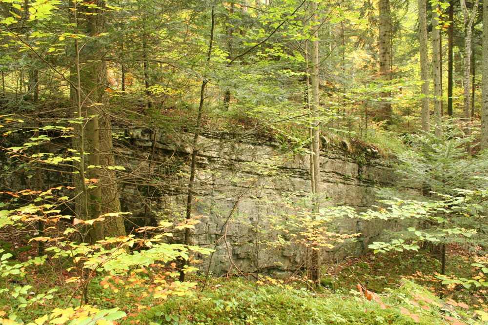 Ancienne carrière de Couvet