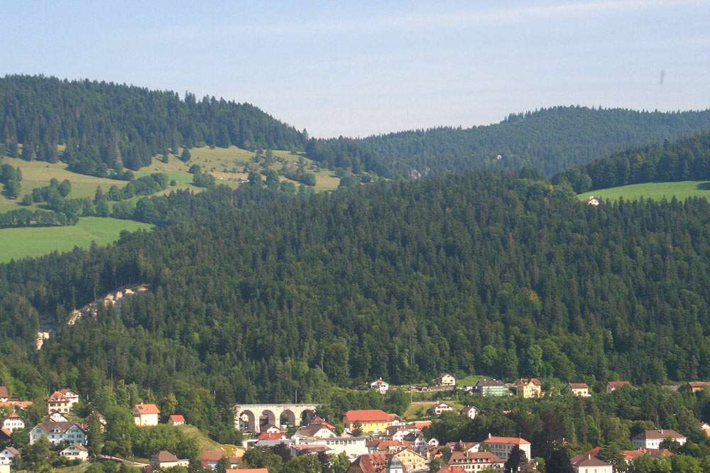 Forêt de l'Endroit