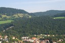 Forêt de l'Endroit