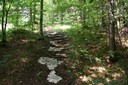 Sentier forestier de l'Endroit