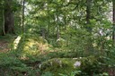 Eboulement dans la forêt de l'Envers