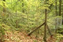 Enclos de protection contre le gibier