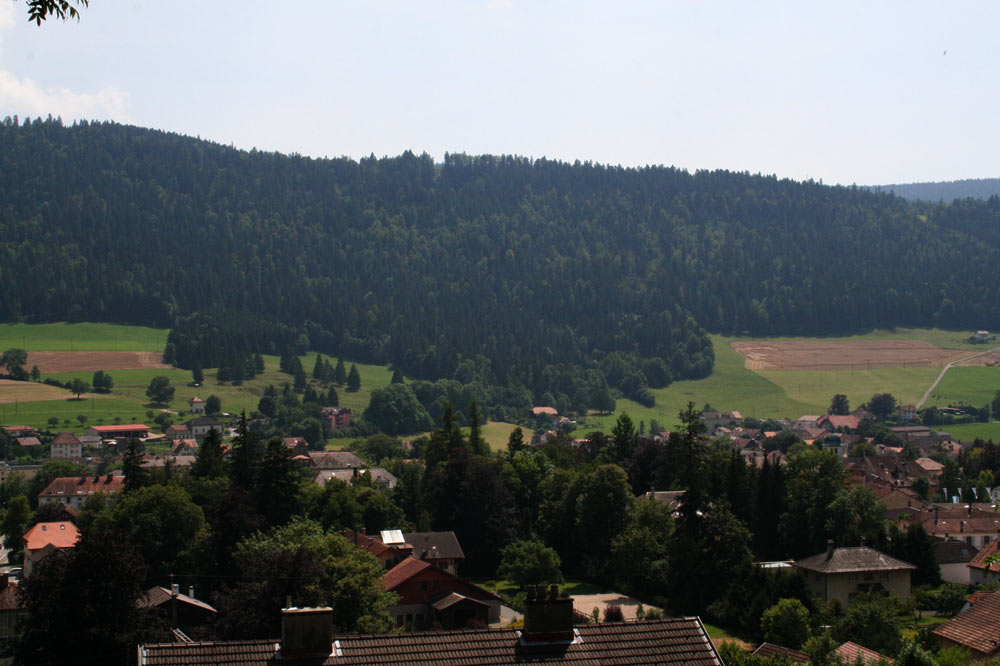 Forêt jardinée de l'Envers