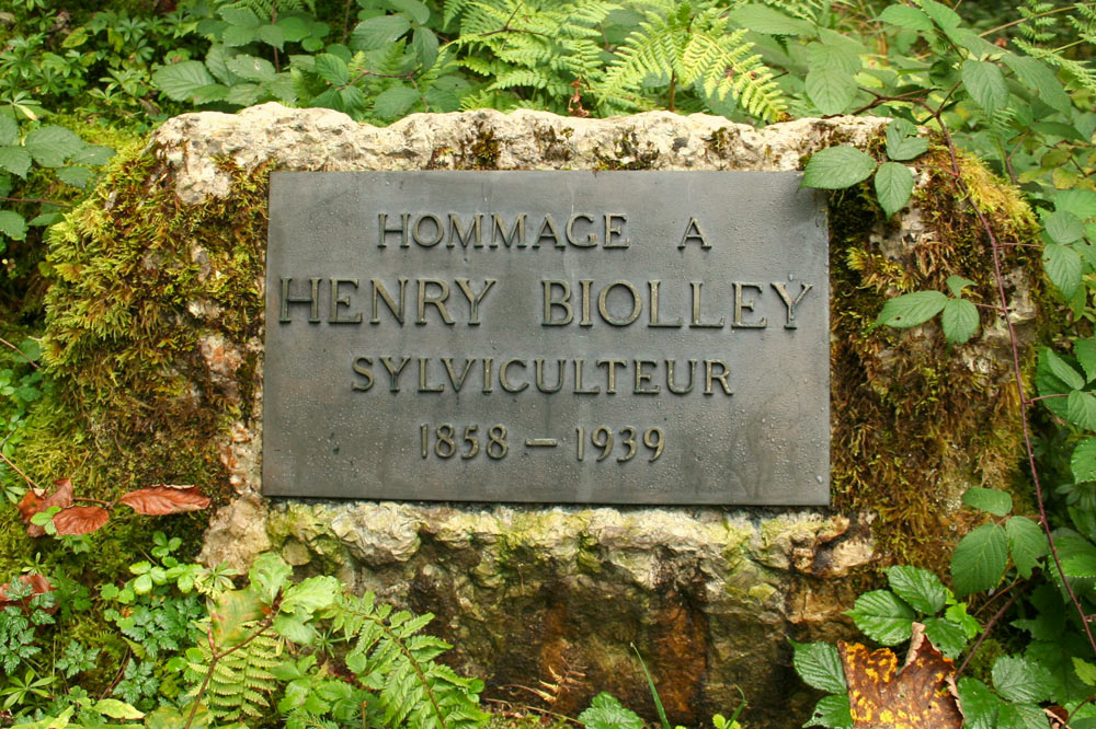 Plaque commémorative à la mémoire de Henry Biolley