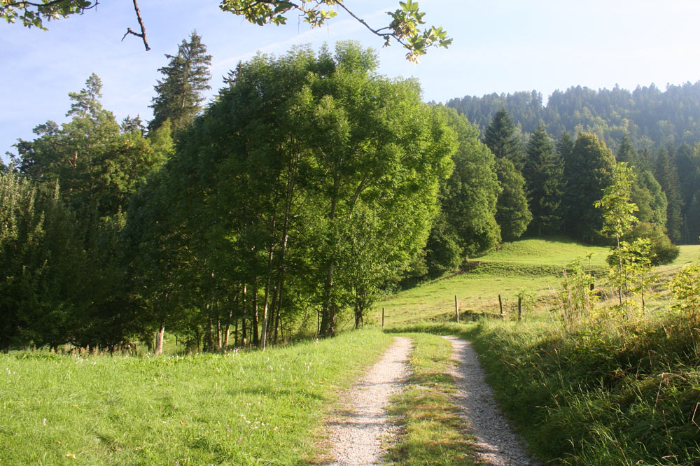 Sentier champêtre