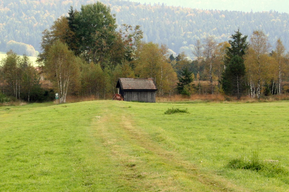 Cabane de tourbier dans la vallée des Ponts-de-Martel