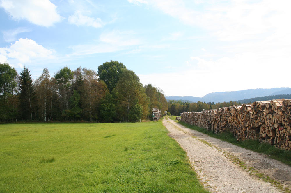 Production de bois de chauffage dans le Bois des Lattes