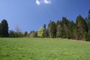Lisière 