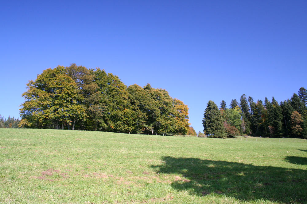 Paysage sur les flancs de la vallée des Ponts-de-Martel