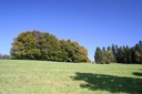 Paysage sur les flancs de la vallée des Ponts-de-Martel