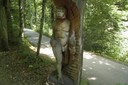 Homo erectus