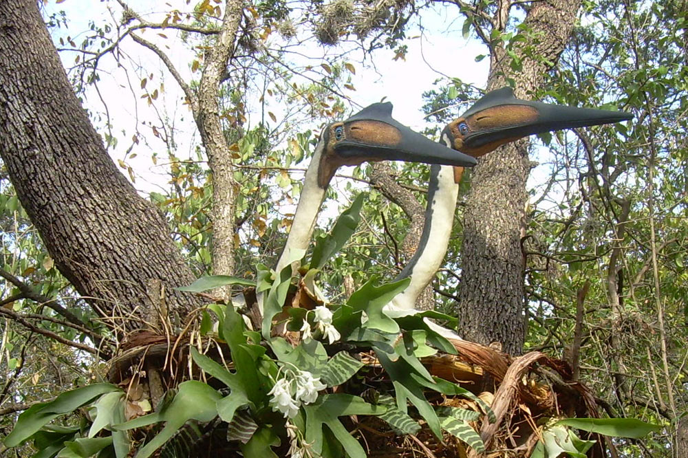 Quetzalcoatlus