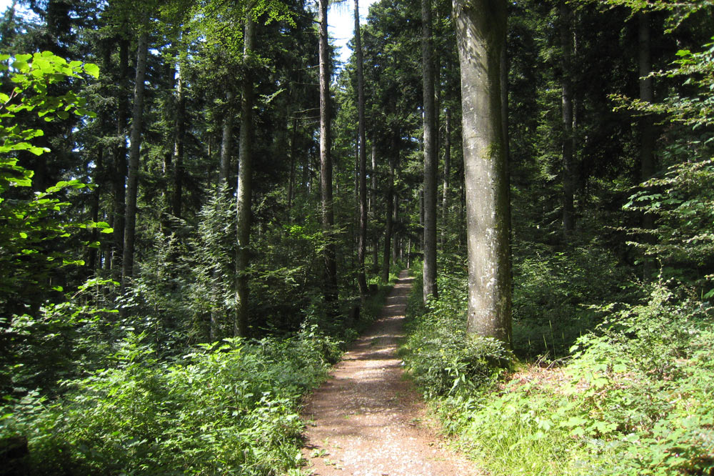 Le sentier du Temps