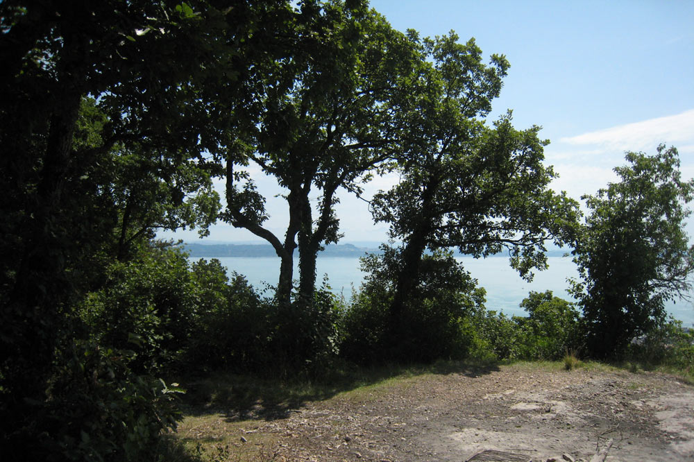 Butte au sommet du jardin botanique de Neuchâtel