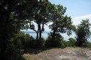 Butte au sommet du jardin botanique de Neuchâtel
