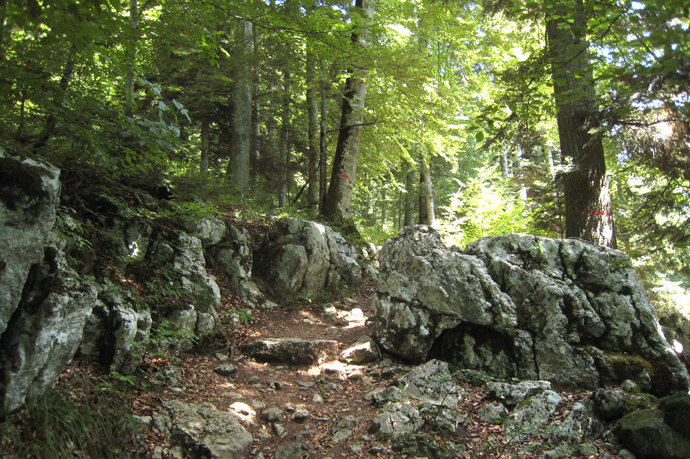 Roches calcaires sur le Sentier du Temps