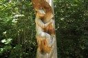 Plesiadapis