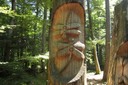 Sculpture de Meganeura