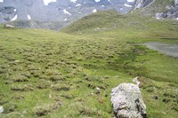 Buttes gazonnées