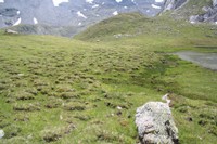 Buttes gazonnées