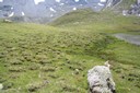 Buttes gazonnées