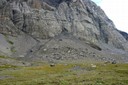 Cône d'éboulis