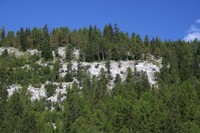 Pente colonisée par la végétation (moraine datant des grandes glaciations)