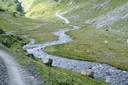 Plaine alluviale