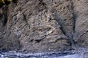 Roche plissée lors de la formation des Alpes