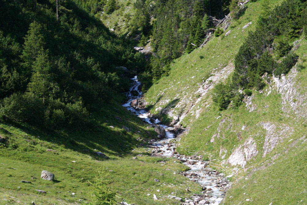 Torrent de l'A