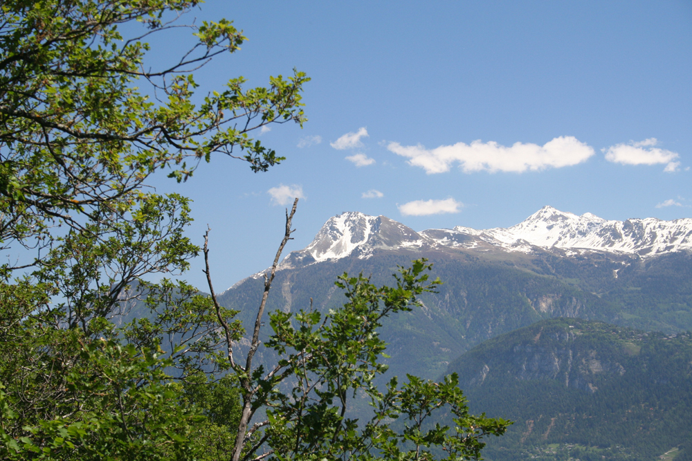 Vue sur l'Illhiorn sur le chemin menant de Flanthey à Lens