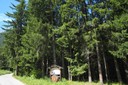 Bois et constructions