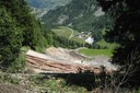 Coupe de bois