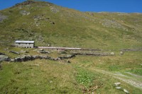 Alpage de l'hospice du Grand-Saint-Bernard