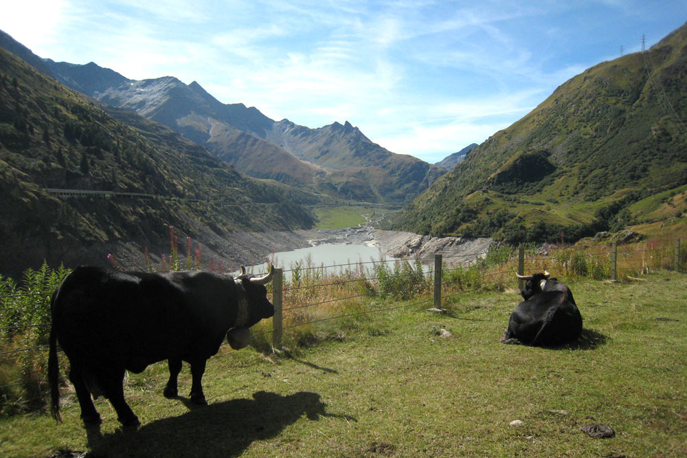 Lac des Toules