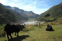 Lac des Toules