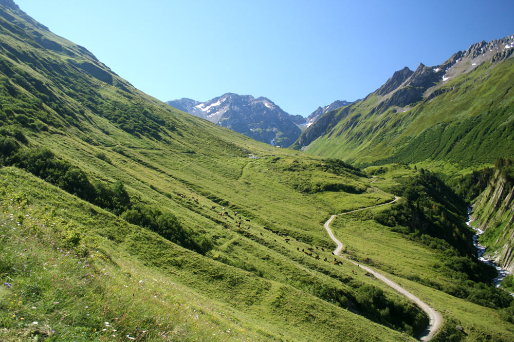 Alpages du Val Ferret