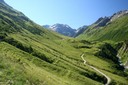 Alpages du Val Ferret