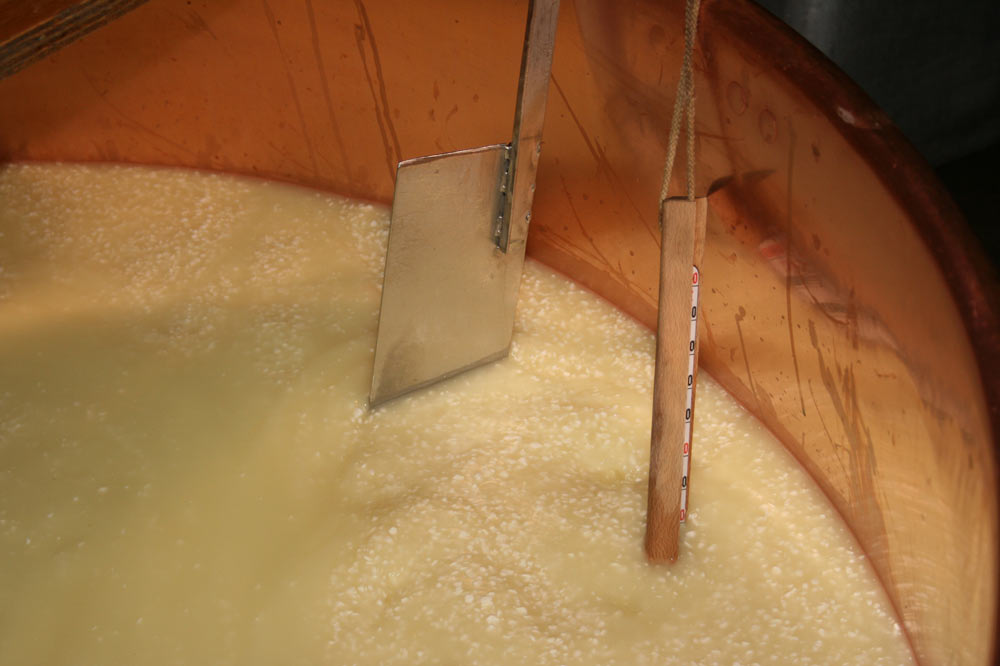 Fabrication du fromage à raclette