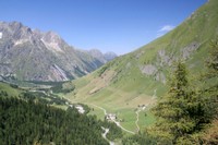 Forêts du Val Ferret