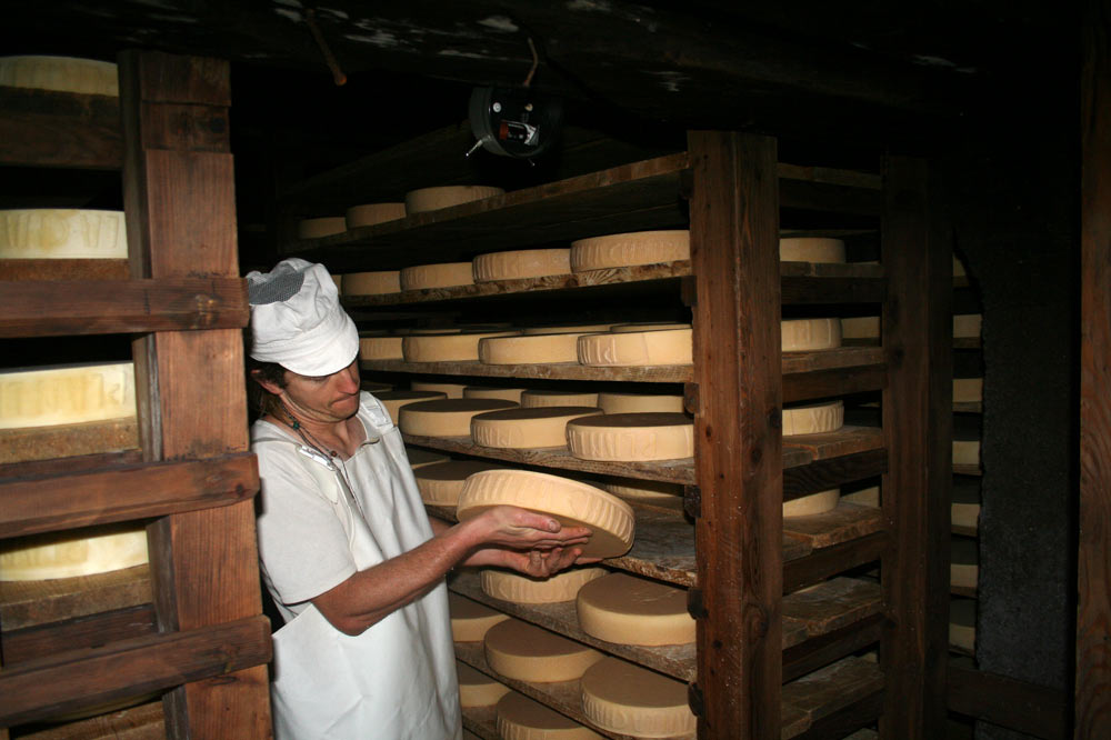 Fromager dans sa cave