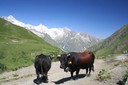 Le Sentier des Bergers