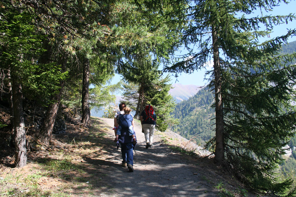 Randonneurs sur le sentier des champignons